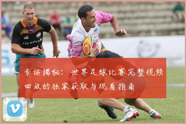 专访揭秘：世界足球比赛完整视频回放的独家获取与观看指南